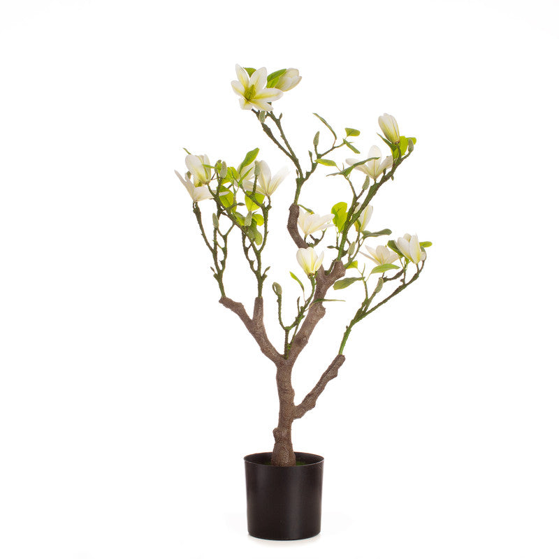 70cm Real Touch Magnolia Tree Cream